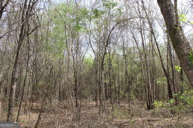 The Jefferson Place is located on Hwy 137, just west of Buena - photo 10