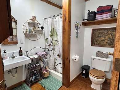 Come fall in LOVE with Cattail Springs! A beautiful one-owner - photo 31