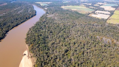 Lake Acreage For Sale in Uvalda, Georgia
