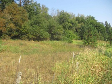 Lake Acreage For Sale in Chattaroy, Washington