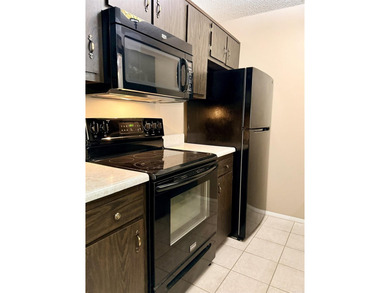 Move-in ready & a great value, this well-maintained Lakewood - photo 8