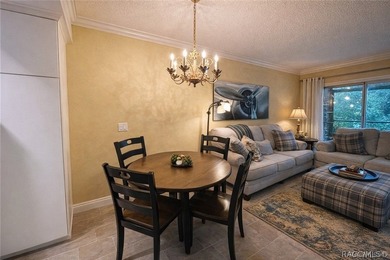 Enjoy true waterfront living-without the maintenance headaches - photo 12