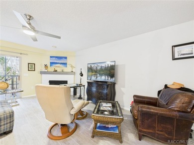 Enjoy true waterfront living-without the maintenance headaches - photo 14