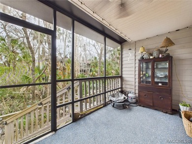 Enjoy true waterfront living-without the maintenance headaches - photo 24