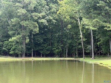 Discover the perfect place to build your dream home or lake - photo 5