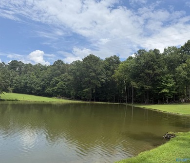 Discover the perfect place to build your dream home or lake - photo 6