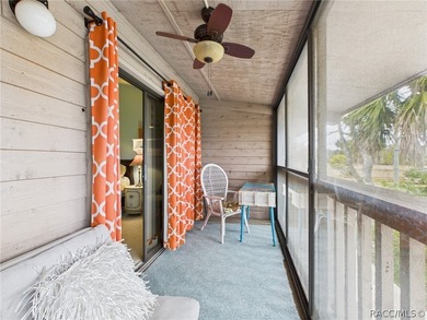 Enjoy true waterfront living-without the maintenance headaches - photo 35