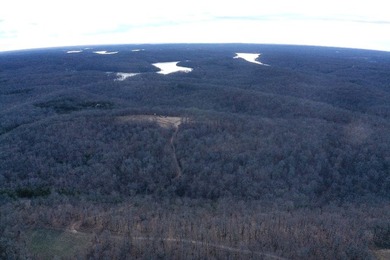 What a great Morgan county hunting farm close to Lake of the - photo 6
