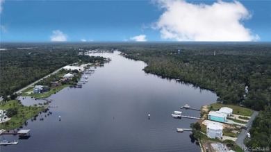 Enjoy true waterfront living-without the maintenance headaches - photo 38