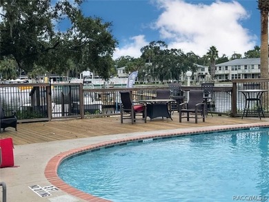 Enjoy true waterfront living-without the maintenance headaches - photo 39
