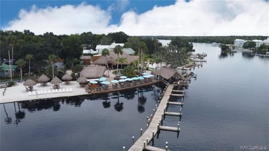 Enjoy true waterfront living-without the maintenance headaches - photo 41