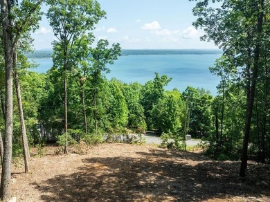 Build your dream lake retreat on this beautiful 14.5-acre - photo 2