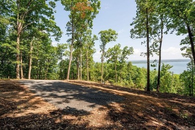 Build your dream lake retreat on this beautiful 14.5-acre - photo 4