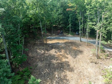 Build your dream lake retreat on this beautiful 14.5-acre - photo 6