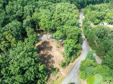 Build your dream lake retreat on this beautiful 14.5-acre - photo 9