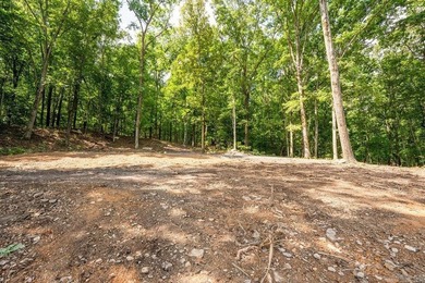 Build your dream lake retreat on this beautiful 14.5-acre - photo 10