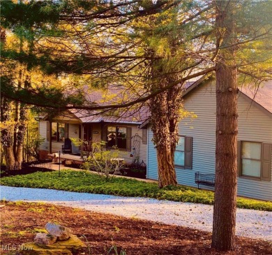 Tucked away in the trees on two beautifully wooded lots at Lake - Lake Home For Sale in Malvern, Ohio