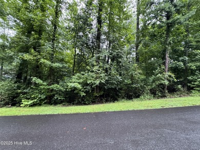 Lake Tillery Lot For Sale in Troy North Carolina