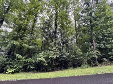 Looking for your getaway check out this .17-acre lot located in - photo 3
