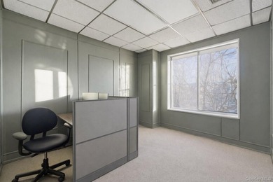 20 W Park Avenue, Long Beach, NY 11561 is an iconic, historic - photo 13