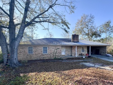 (private lake, pond, coastal) Home For Sale in Vidalia Georgia