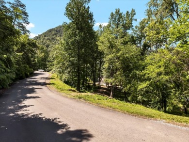 Cherokee Lakefront Lot with Dock and Gated Access - photo 29