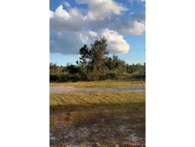 Lake Weohyakapka Lot For Sale in Lake Wales Florida