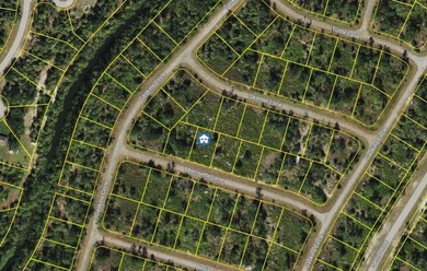 This is a rare chance to own a newly AC-10 rezoned quarter-acre - photo 1