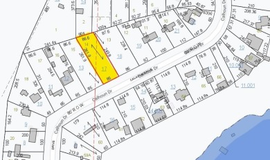 Lake Eufaula / Walter F George Reservoir Lot For Sale in Abbeville Alabama