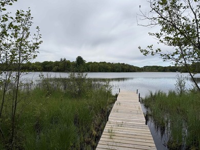Nestled along the crystal-clear shores of Williams Lake, this - photo 1