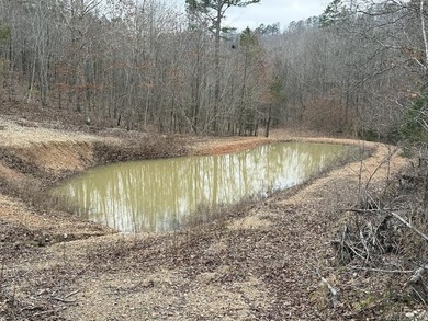 Folks, if you're a serious hunter, angler, or true outdoorsman - photo 12
