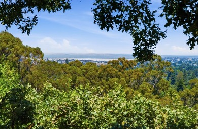 Situated in sought-after Emerald Hills, this thoughtfully - photo 12