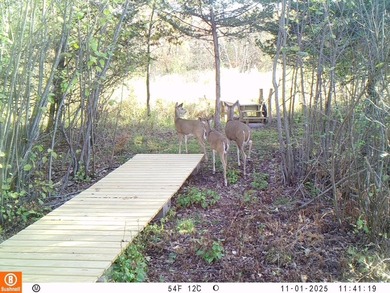 Nestled along the crystal-clear shores of Williams Lake, this - photo 4