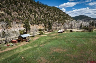 (private lake, pond, creek) Acreage For Sale in Dolores Colorado
