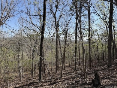 Folks, if you're a serious hunter, angler, or true outdoorsman - photo 44