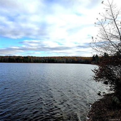Discover a rare opportunity to build your dream retreat on 2 - photo 6