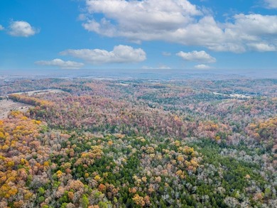 Welcome to Market 161.06 surveyed acres near Norfork Lake on - photo 4