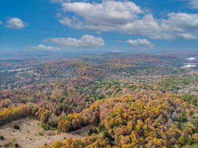 Welcome to Market 161.06 surveyed acres near Norfork Lake on - photo 5