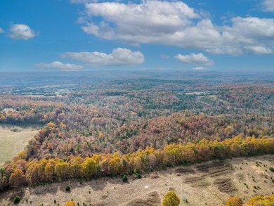 Welcome to Market 161.06 surveyed acres near Norfork Lake on - photo 6