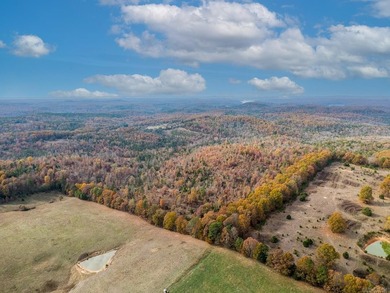 Welcome to Market 161.06 surveyed acres near Norfork Lake on - photo 7