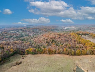 Welcome to Market 161.06 surveyed acres near Norfork Lake on - photo 8