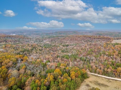 Welcome to Market 161.06 surveyed acres near Norfork Lake on - photo 10