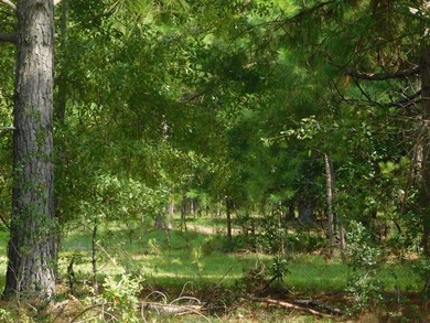 (private lake, pond, coastal) Acreage Sale Pending in Claxton Georgia