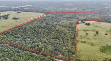 Lake Acreage For Sale in Canton, Mississippi