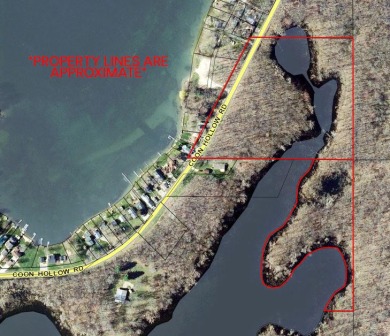Mud Lake - St. Joseph County Acreage For Sale in Three Rivers Michigan