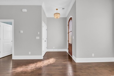 Welcome to 438 Saint Julian Ln., a stunning three-story home - photo 4