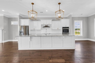 Welcome to 438 Saint Julian Ln., a stunning three-story home - photo 9
