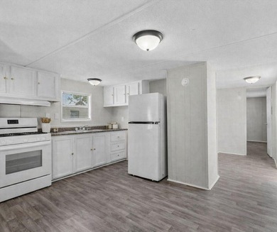 Move in ready! This beautiful, and well- maintained home has 2 - photo 5