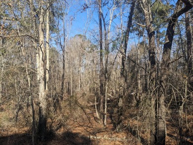 Discover the perfect opportunity to build your dream home or - photo 2