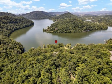 Cherokee Lakefront Lot with Dock and Gated Access - photo 18